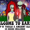 Ancient Aliens Round 2 - Image 7